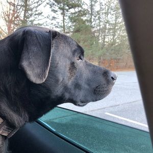 Meet your Posher, Tom